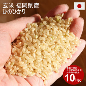 玄米 10kg 農薬不使用・化学肥料不使用・除草剤不使用 福岡県産 ヒノヒカリ