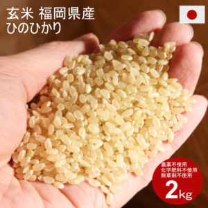 玄米 ２kg 農薬不使用・化学肥料不使用・除草剤不使用 福岡県産 ヒノヒカリ