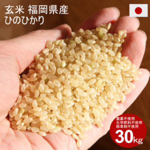 玄米 30kg 農薬不使用・化学肥料不使用・除草剤不使用 福岡県産 ヒノヒカリ